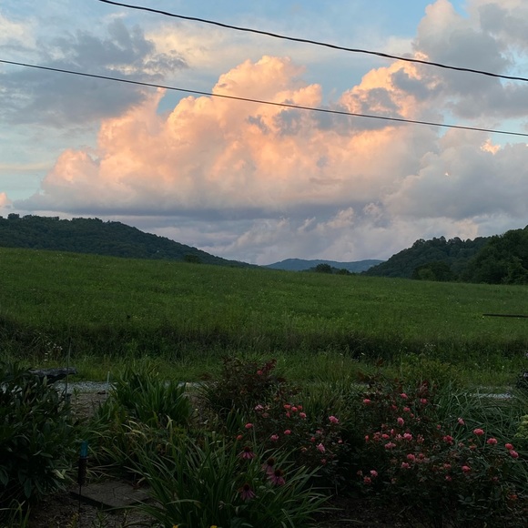 Meet your Posher, Lyndsie - Picture 1 of 1